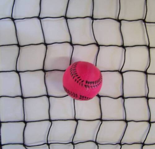 Details about  /  20/' x 19/' BLACK SQUARE NYLON NETTING BARRIER BACKSTOP BASEBALL CAGE NET 2/"  #18