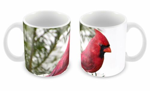 Mug Bird Nature Animal Watching Winter Gift Christmas Details about  / Cardinal