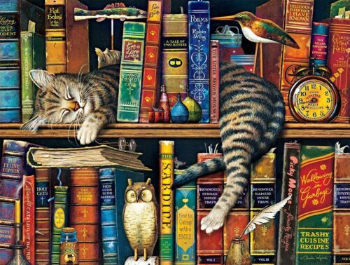 Puzzles 1000 Pieces Jigsaw Bookshelf Cat Fun For Adults Kids Learning Education