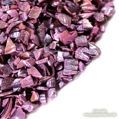 Rose Pink Crushed Seashells  crafts and terrarium projects100g2-6mm