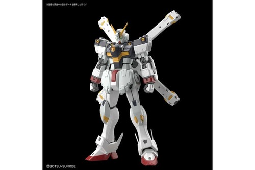 RG 1//144 Crossbone Gundam X1 Model Kit Crossbone Gundam BANDAI SPIRITS NEW***