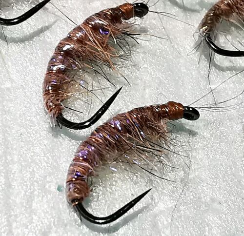SHRIMP Trout Fly 8 Pack Barbless Scud Fly Fishing Size 14 small