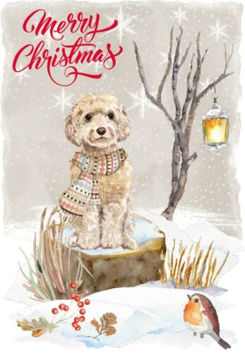 Design by Starprint Cockapoo Dog A6 Blank inside 4" x 6" Christmas Card 