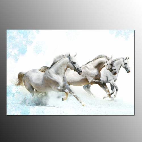 Canvas Wall Art Animal Canvas Print For Home Decor Running Horses-No Frame