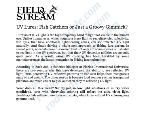 FLUKE FLOUNDER ULTRAVIOLET UV B2 SQUID FISHING RIGS LURES GAMAKATSU BASS SALMON