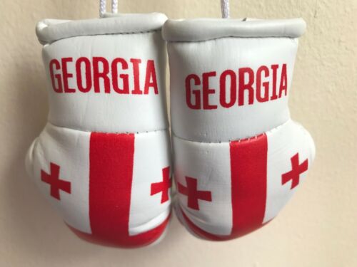 GEORGIA flag Mini Boxing Gloves for Car Truck Bus Jeep SUV RV Decor Rear-View Mi