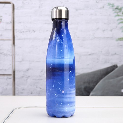 Stainless steel vacuum water bottle children cup travel mug metal sports /& gym