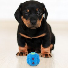 Fehlender Lebensmittelspielzeugball Leckerli-Spielzeug Für Hunde