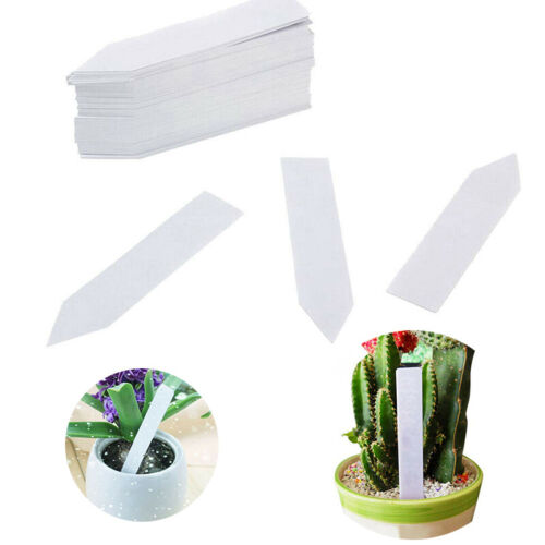 100 Pcs 10cm x2cm Pot Marker Nursery Garden Plastic Plant Labels Stake Tags 