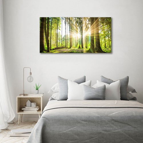 Design Stil Acrylglas Bild Wandbilder Druck 140x70 Deko Landschaften Wald Sonne Maybrands Com Ng