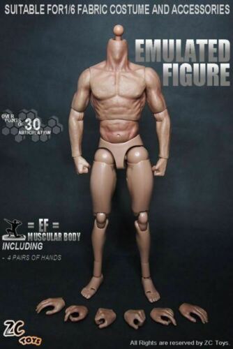 12inch Male Action Figure Muscular Body For 1//6 Scale HT Man Head Model ZC Toys