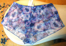 Lise Charmel Bleu Floral "Desir Desir" Sheer Embroidered French Knickers