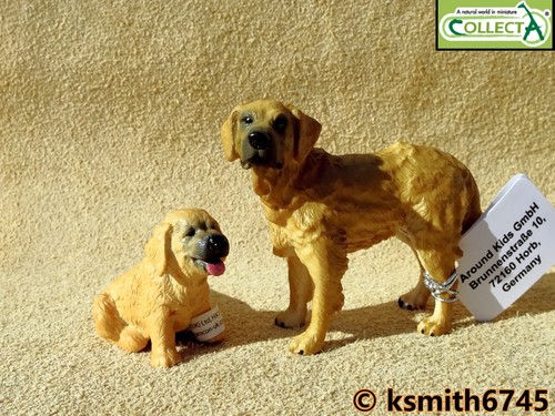 NUOVO Collecta con Cucciolo di Golden Retriever /& plastica solida giocattolo fattoria cane Animale Pet