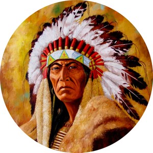 Image result for red indian