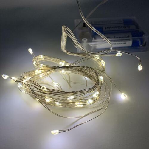 40 Warm White Micro LED Battery Powered Bunch Indoor Lights Silver Wire