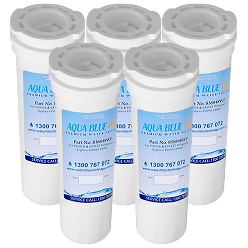 Fisher /& Paykel Replacement Fridge Filter 836848 for E442BRXFDU4 Fridge