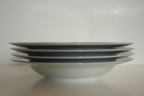 Set of 4 Mikasa Currents Rim Soup Bowls
