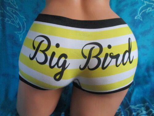 nwt Sesame Street Big Bird Yellow Soft /& Stretchy Striped Boyshorts Panties L