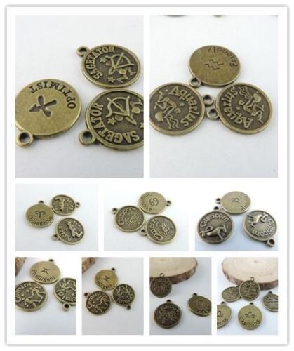 1 Set Bronze-Runde Platte Horoscope Handwerk-Charme-Anhänger DIY 12 Stück 