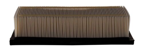 Air Filter-GAS Pronto PA5323