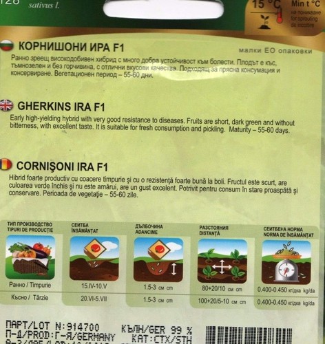 GHERKIN PICKLING GHERKIN 50 HIGH QUALITY VEGETABLE SEEDS //128 IRA F1