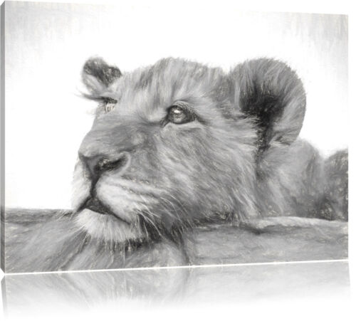 junger Löwe schläft Leinwandbild Wanddeko Kunstdruck 