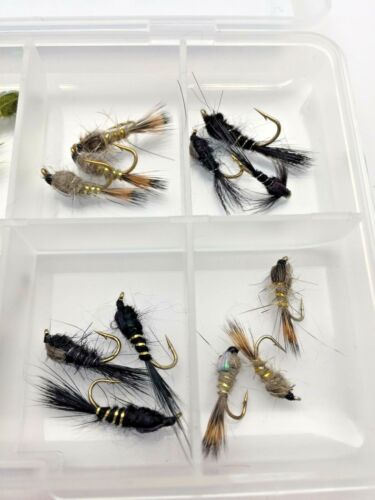 Fly Fishing Lièvres Oreille nymphes Free Fly Box Taille 10-14 X 24 mouches #328