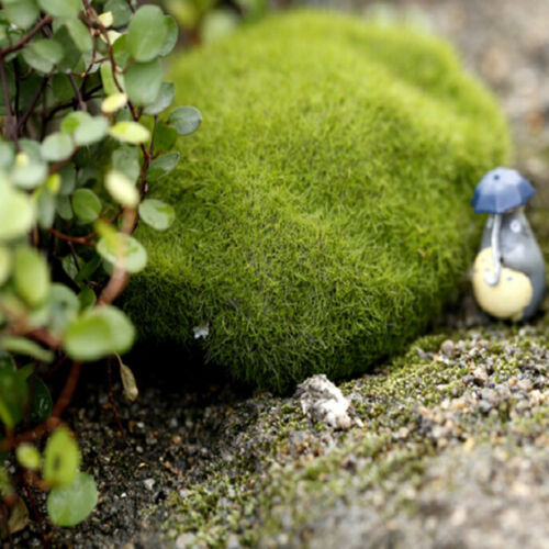 Mini Gras Figurine Handwerk Pflanze Topf Fairy Dollhouse Dekor Garten Ornament