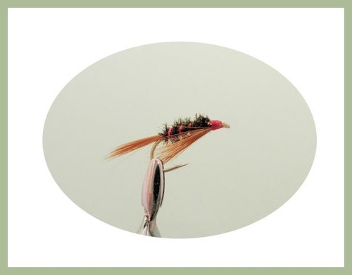 Size 10//12 12 Pack 4 Colours For Fly Fishing Diawl Bach Nymph Trout Flies