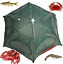NEW Fishing Bait Trap Crab Net Crawdad Shrimp Cast Dip Cage Fish Minnow Foldable