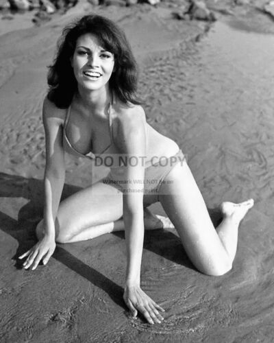 MW014 8X10 PUBLICITY PHOTO RAQUEL WELCH ACTRESS AND SEX-SYMBOL PIN UP