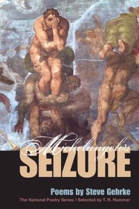 Michelangelos-Seizure-National-Poetry-Series