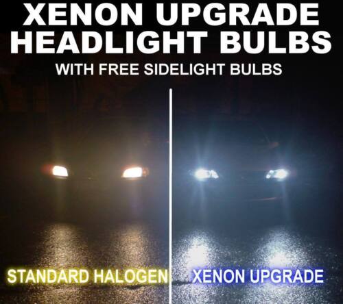 Xenon headlight bulbs SUZUKI SV650 S 01-05 H4 501
