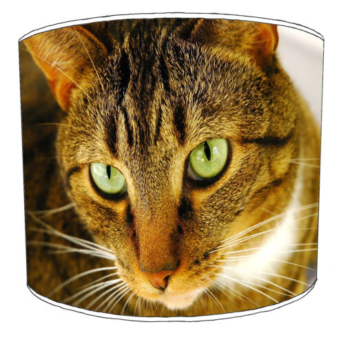 Cats Wall Decals /& Stickers Cat Designs Lampshades Ideal To Match Cats Cushions