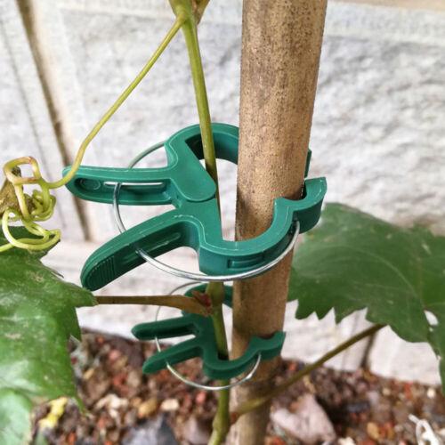 Plastic Plants Fixing Clip Ties Garden Potted Branches Vine Supports Tool Supply 