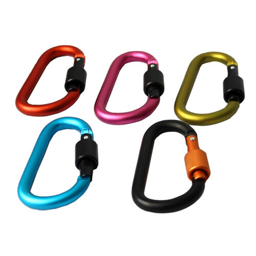 Details about   5x Camping Aluminum D-Ring Screw Locking Carabiner Hook Clip Key Chain  Fad.ON 
