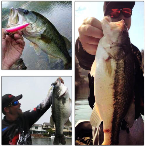 30PCS Kinds of Fishing Lures Crankbaits Hooks Minnow Baits Bass Tackle Crank Set 