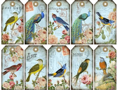 Peacocks Birds & Roses Tags Glossy Finish Card Topper Crafts Embellishment 