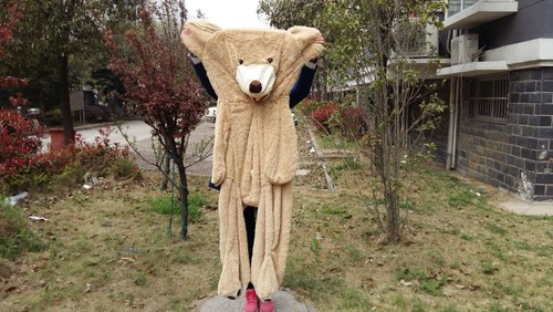200cm Giant Bear Skin Toy American Bear Plush Teddy Bear Bearskin Gift
