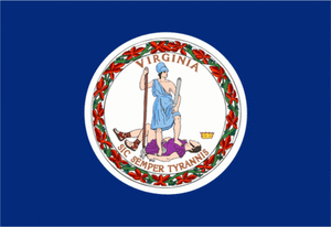 Virginia nylon flag