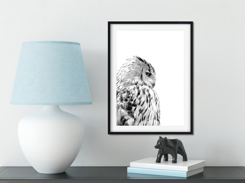 Nature Print Home Gift Idea Stylish Owl