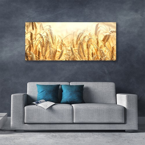 Leinwand-Bilder Wandbild Canvas Kunstdruck 125x50 Weizen Pflanzen