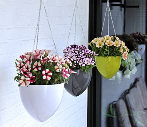 Scheurich 54346 0 20920 Hanging Pot-Blanc Lumineux