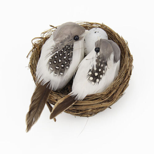 Artificial Bird Nest Handmade Bird Egg Suit Garden Decoration Background Props