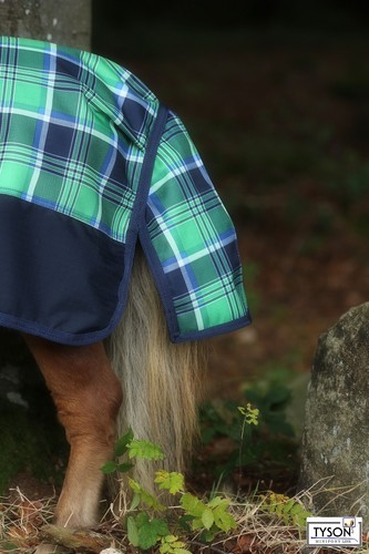 Pluie Couverture Vert Mini Shetty 65 70 75 80 85 90 95 100 cou 1200 minipony 200 T