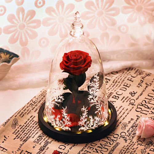Beauty And The Beast Eternal Rose LED Light Glass Dome Home Decor Gift For Her 