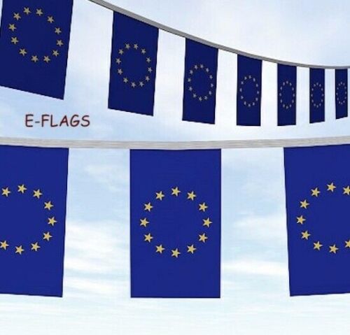 Sat No To Brexit 10 Metres 20 Flags EU Euro European Union Flags Bunting Banner