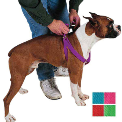 STEP IN DOG HARNESS ADJUSTABLE NYLON HARNESSES EASY TO USE WALKING  TWO STEPS