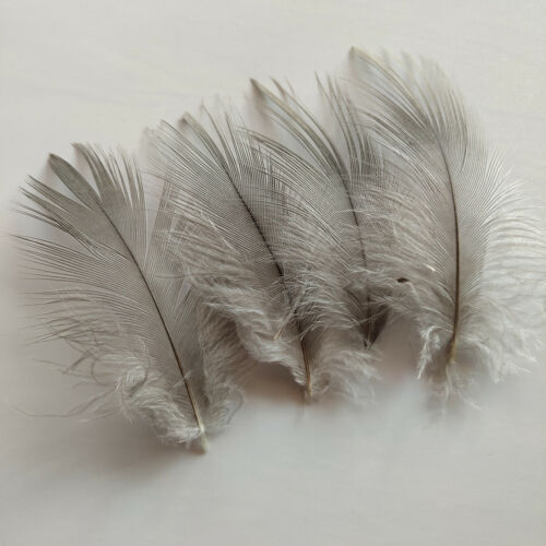 Beautiful 10-100pcs 2-10 inches/5-25 cm Gray Heron Silk Feathers For Decoration 
