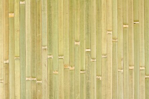 4ft x 8ft Bamboo Wainscoting Paneling Raw Green Grt 4 Tiki Thatch Bar